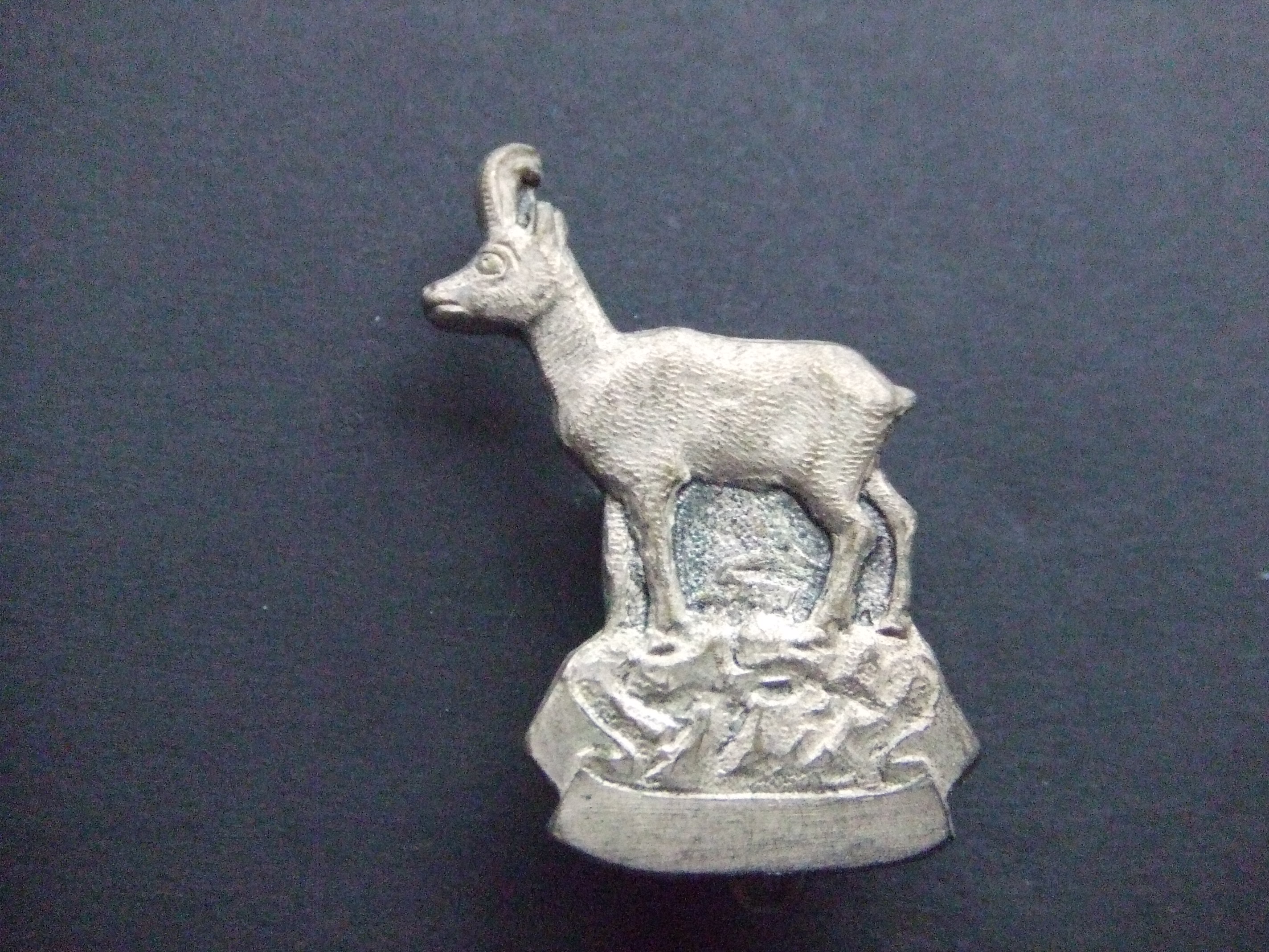 Steenbok, gems onbekend zilverkleurig
